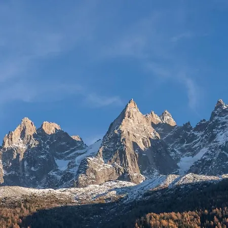 Portes Du Brevent -1 Bedroom With Magnificient Mont Blanc Views Lägenhet *